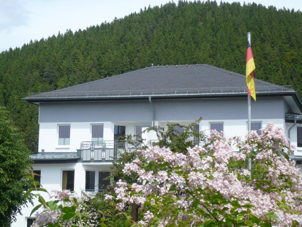 Fewo Penthaus-Blick Willingen  Luaran gambar